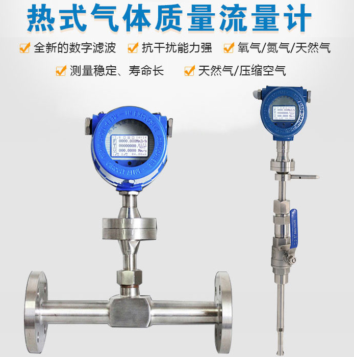 分體式熱式氣體質(zhì)量流量計(jì)產(chǎn)品圖