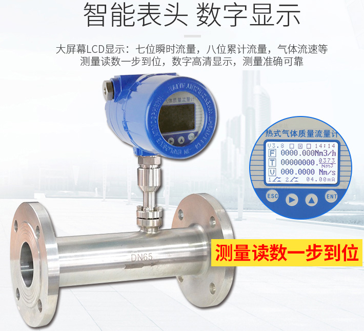 分體式熱式氣體質(zhì)量流量計(jì)液晶表頭顯示圖